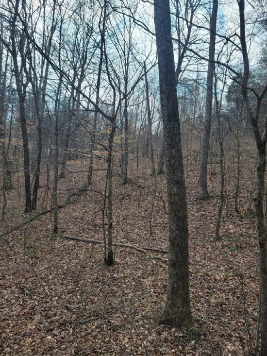 Kentucky Land Company